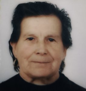 idalina fernandes painçal