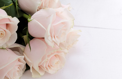 servico flores portfolio